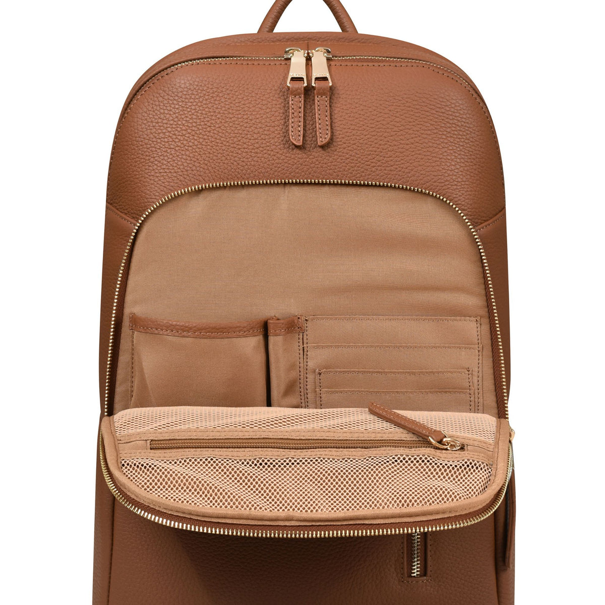 #color_Tan | Light Gold